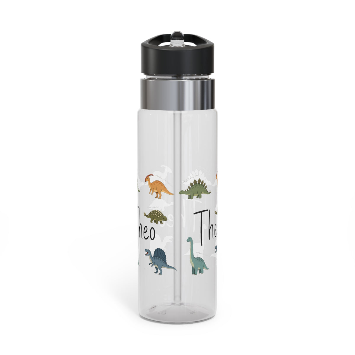Custom Dinosaur Water Bottle for Kids, Personalized Dino Kids Water Bottle, Dinosaur Gift for Boys, Back to School Bottle, BPA Free