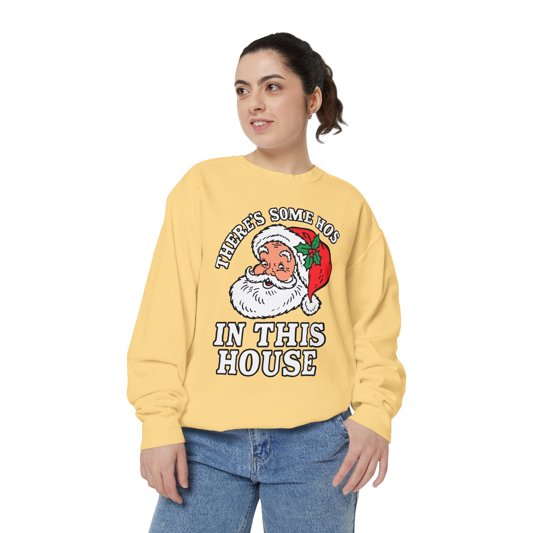 There's Some Ho's in This House Sweatshirt, Funny Santa Christmas Crewneck, Adult Holiday Party Pullover, Naughty Gift for Friends
