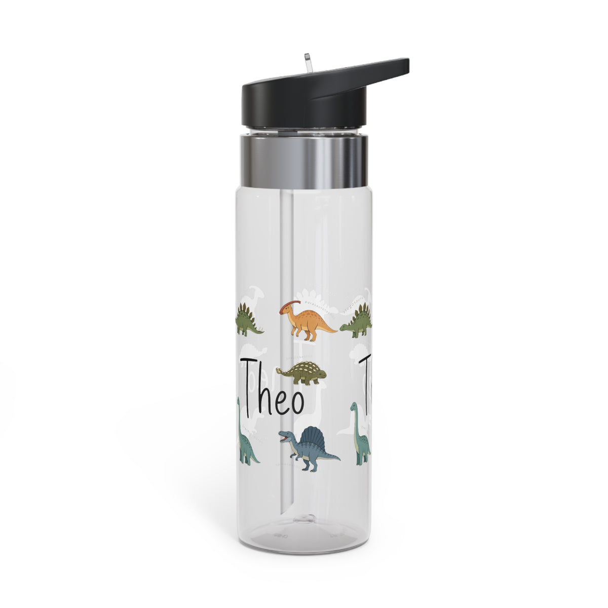 Custom Dinosaur Water Bottle for Kids, Personalized Dino Kids Water Bottle, Dinosaur Gift for Boys, Back to School Bottle, BPA Free