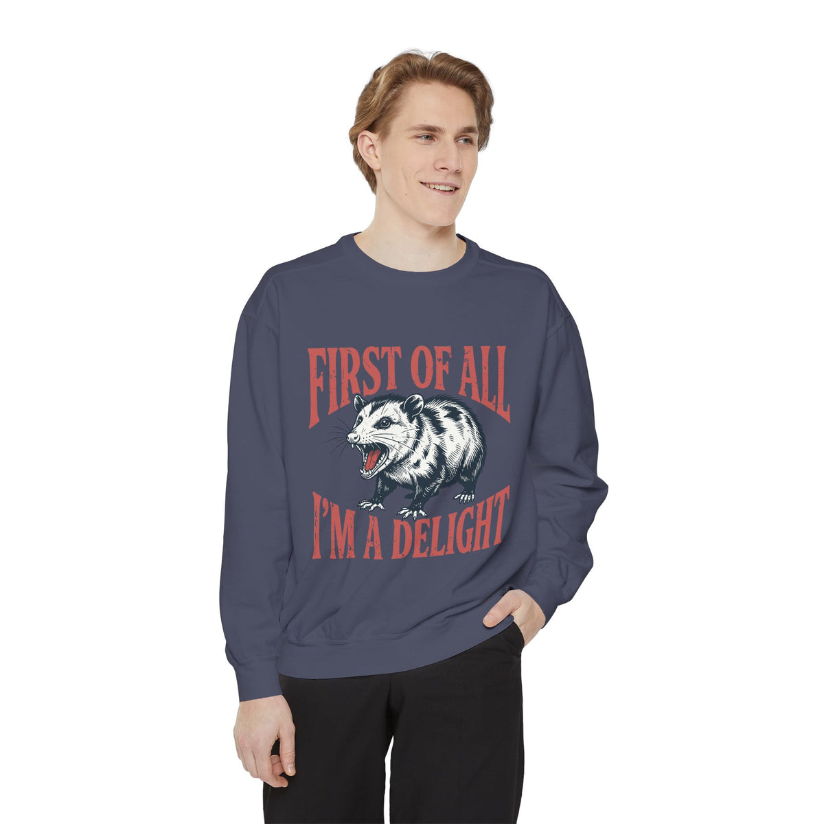Funny Possum Sweatshirt, First of All I'm a Delight Crewneck, Sarcastic Animal Lover Gift, Vintage Opossum Graphic Cozy Pullover Top