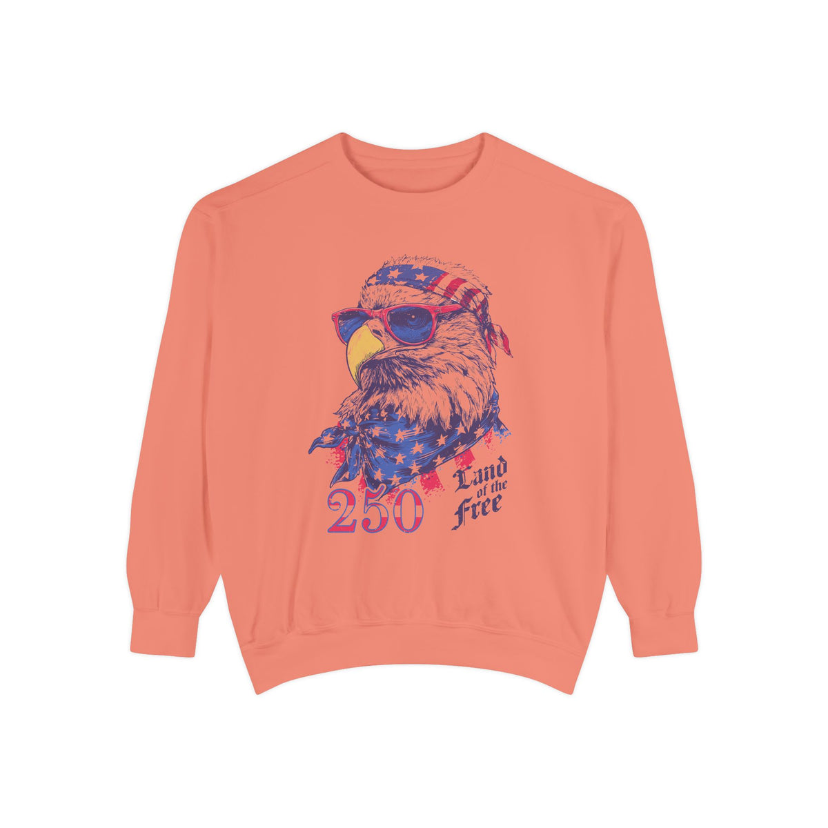 Patriotic Eagle 250 Years Sweatshirt, Land of the Free Crewneck for Women, Vintage America Graphic Sweatshirt, Fourth of July Gift