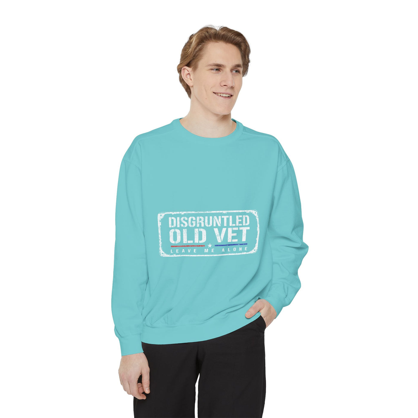 Disgruntled Old Vet Sweatshirt, Leave Me Alone Veteran Crewneck, Funny Military Gift for Retired Soldier, Sarcastic Grandpa Pullover