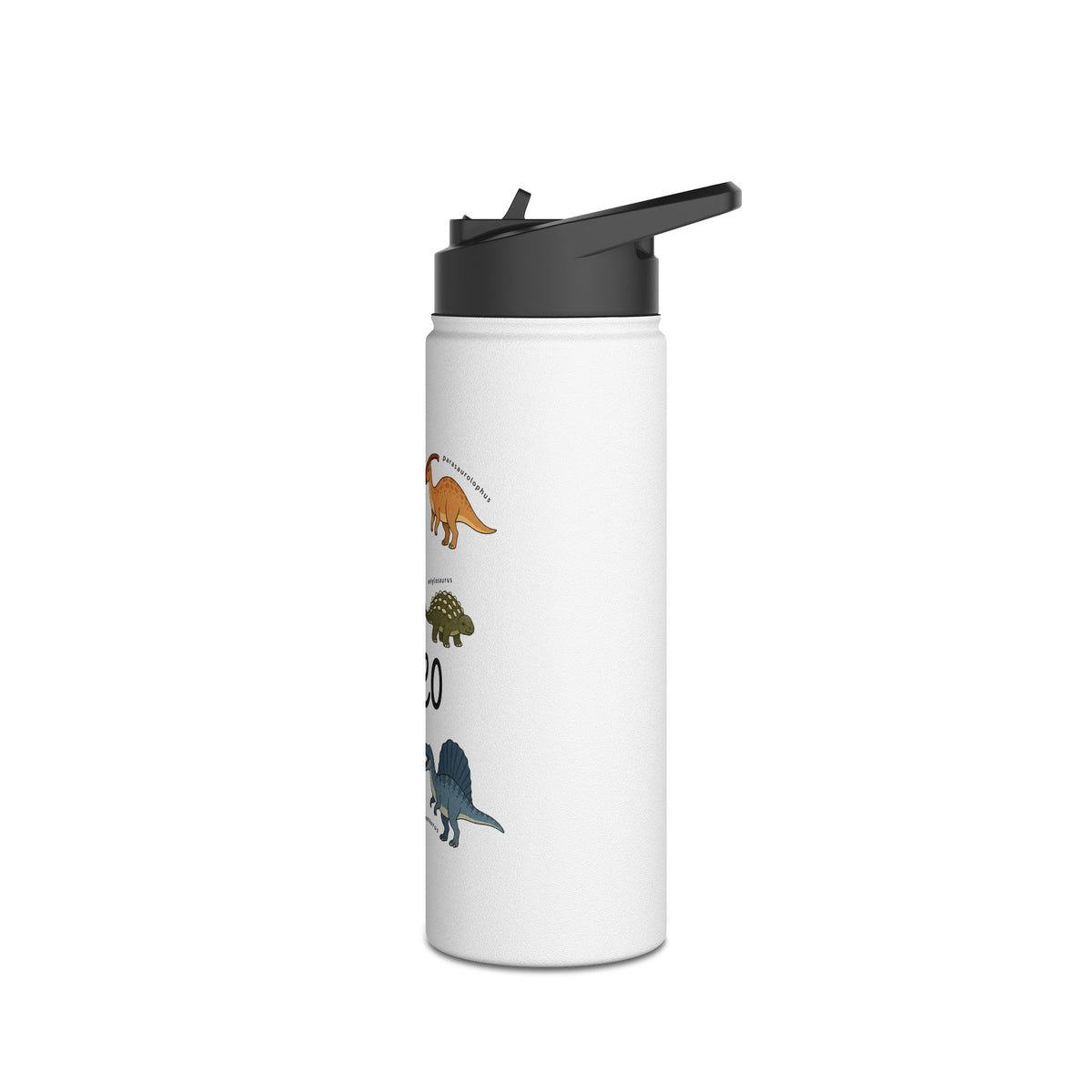 Personalized Dinosaur Water Bottle for Kids, Custom Name School Water Bottle, Dino Lover Gift, Insulated Sports Bottle for Boys