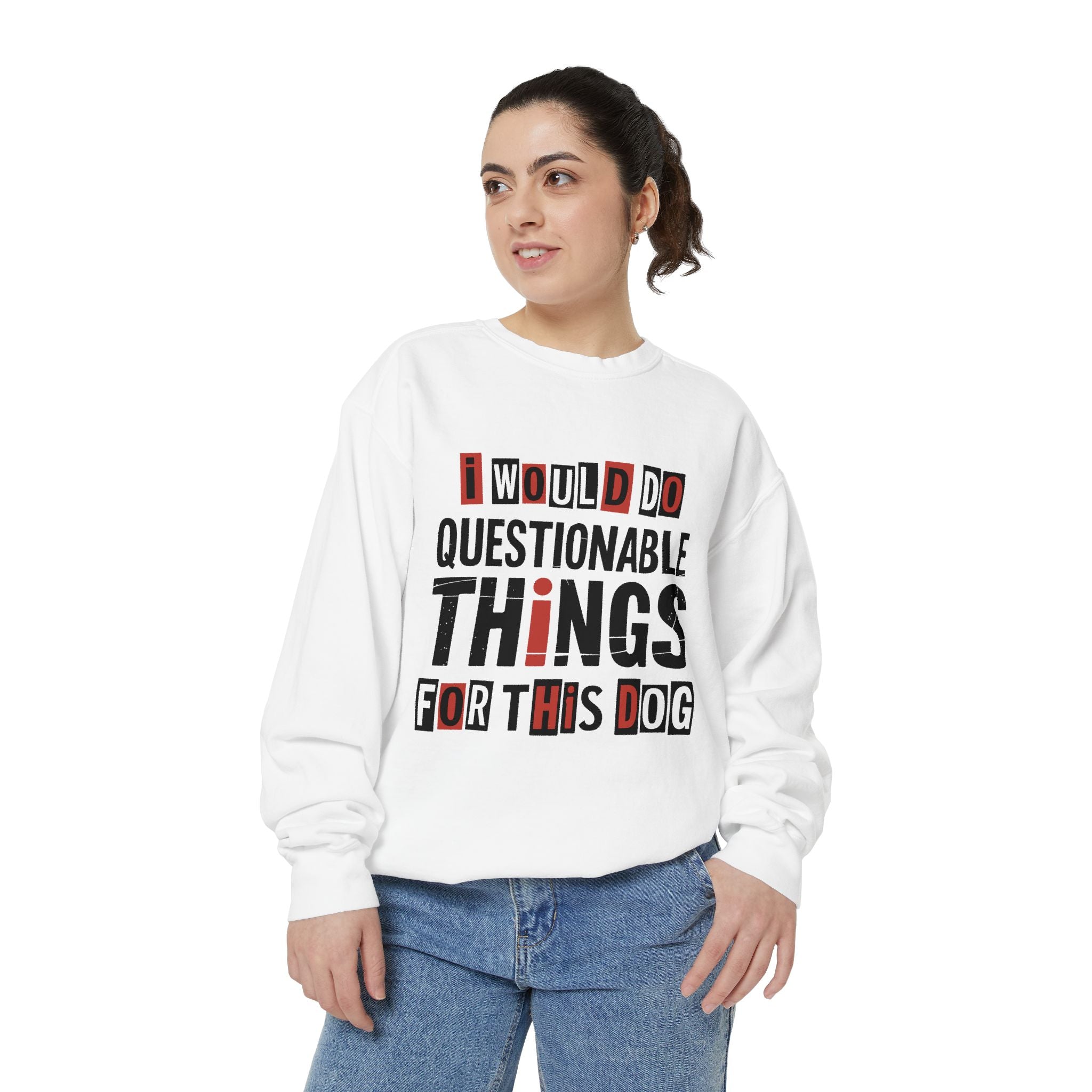 Funny Dog Lover Sweatshirt, I Would Do Questionable Things For This Dog Crewneck, Dog Dad Gift, Pet Lover Sweatshirt