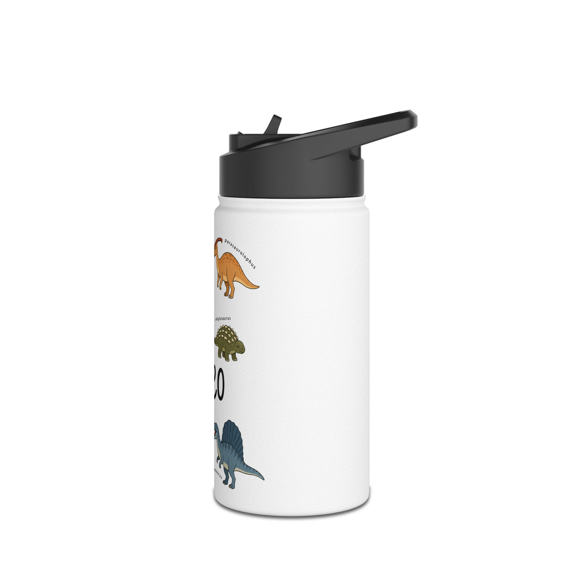 Personalized Dinosaur Water Bottle for Kids, Custom Name School Water Bottle, Dino Lover Gift, Insulated Sports Bottle for Boys