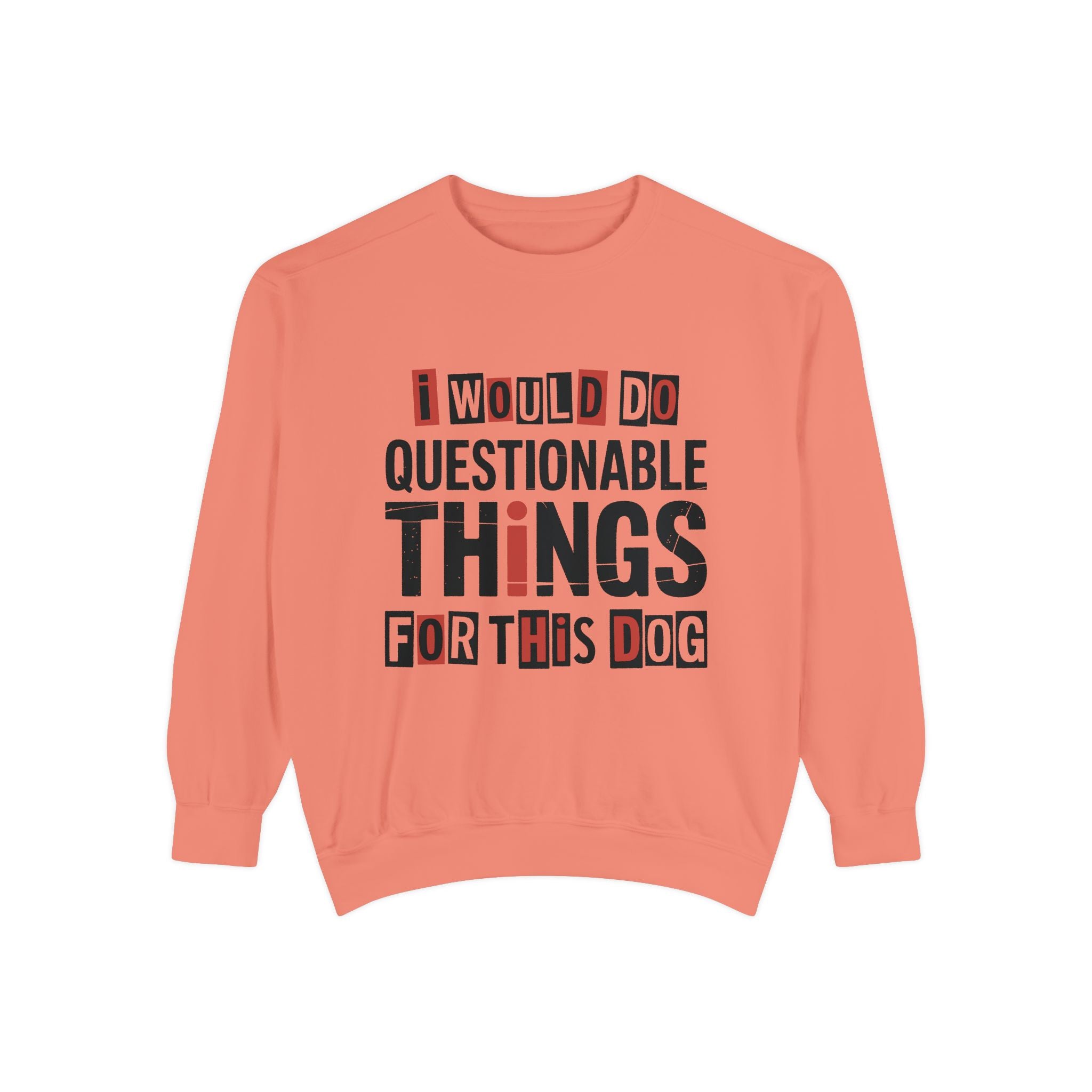 Funny Dog Lover Sweatshirt, I Would Do Questionable Things For This Dog Crewneck, Dog Dad Gift, Pet Lover Sweatshirt