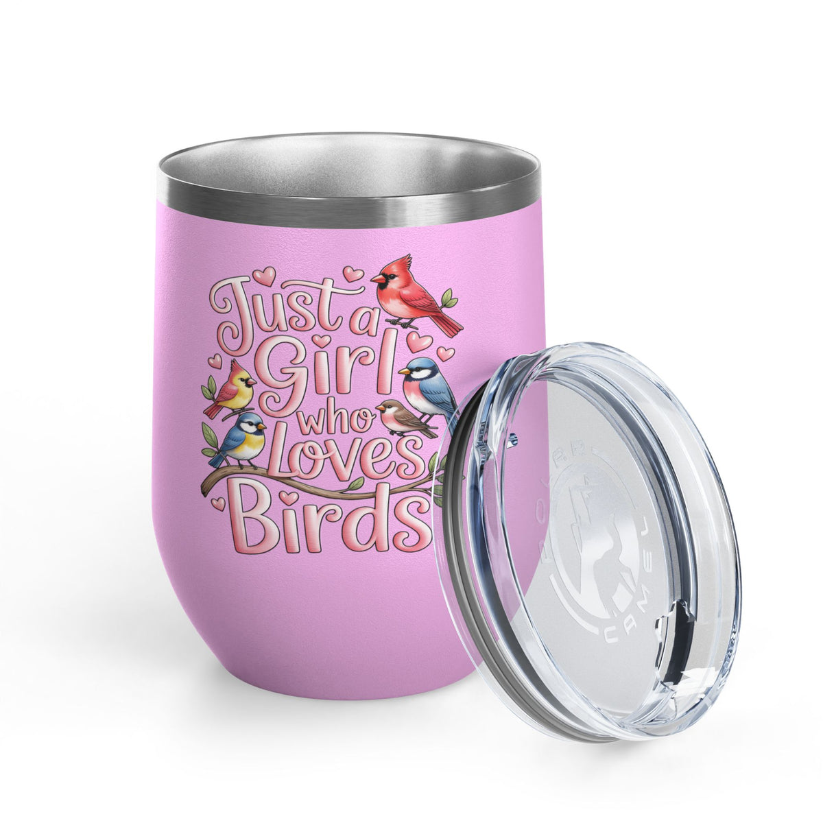 Bird Lover Wine Tumbler, Just a Girl Who Loves Birds, Cute Birdwatching Drink Tumbler, Nature Lover Gift for Her, Birdwatcher Gift, Nature