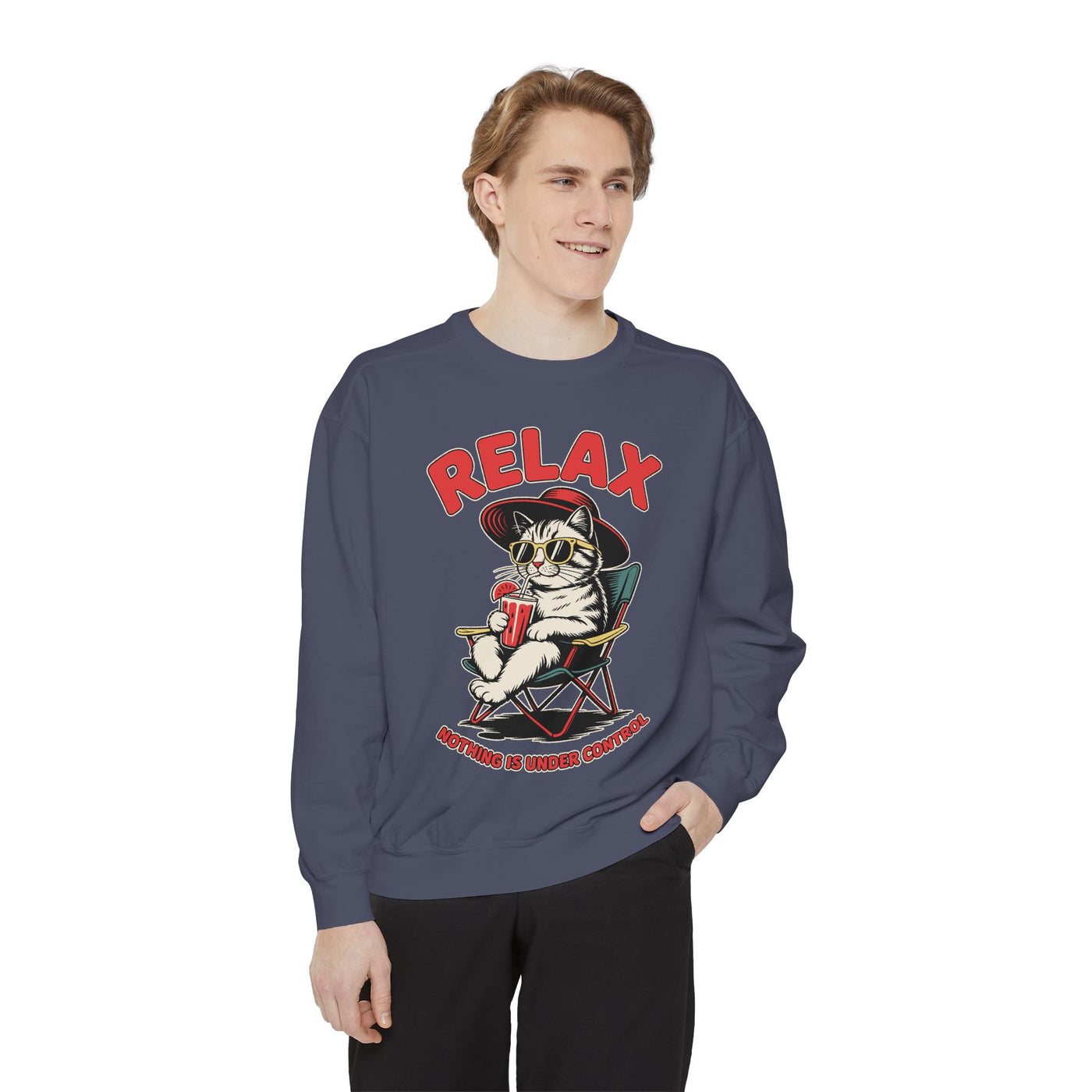 Funny Cat Lover Comfort Sweatshirt, Relax Nothing Is Under Control Crewneck, Sarcastic Cat Mom Comfort Sweatshirt Gift