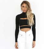 Autumn Winter Sexy Hollow Long Sleeve Turtleneck Ladies Top