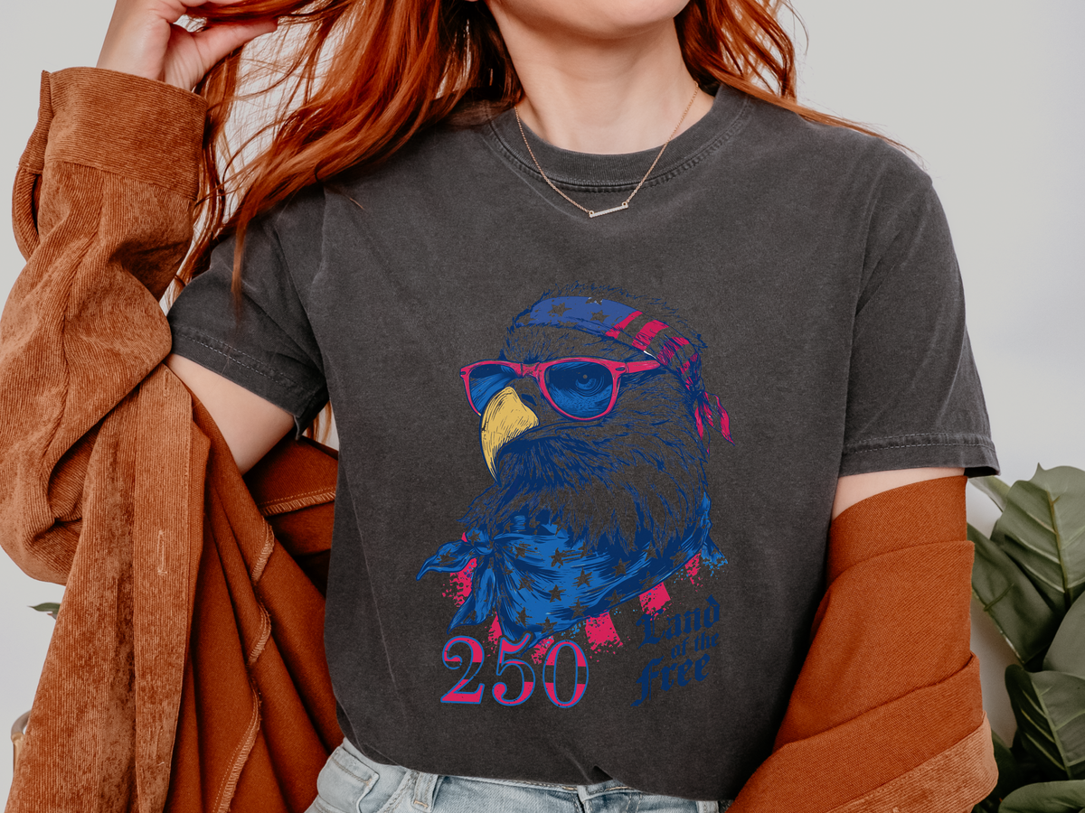 Patriotic Eagle Graphic T Shirt, Vintage America 250 Tee, Land of the Free Shirt, Fourth of July USA Graphic Tee for Men Women