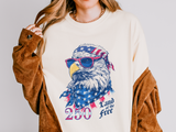Patriotic Eagle Graphic T Shirt, Vintage America 250 Tee, Land of the Free Shirt, Fourth of July USA Graphic Tee for Men Women