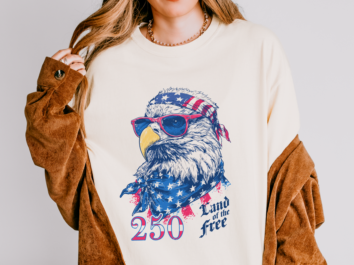 Patriotic Eagle Graphic T Shirt, Vintage America 250 Tee, Land of the Free Shirt, Fourth of July USA Graphic Tee for Men Women