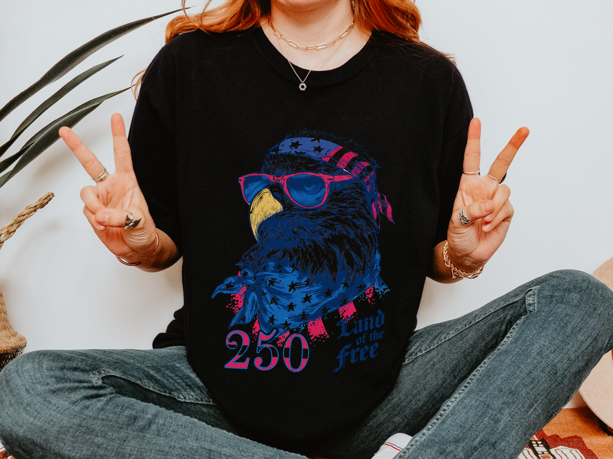 Patriotic Eagle Graphic T Shirt, Vintage America 250 Tee, Land of the Free Shirt, Fourth of July USA Graphic Tee for Men Women