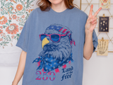 Patriotic Eagle Graphic T Shirt, Vintage America 250 Tee, Land of the Free Shirt, Fourth of July USA Graphic Tee for Men Women