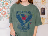 Patriotic Eagle Graphic T Shirt, America 250 Anniversary Tee, Vintage USA Flag Shirt, Fourth of July Americana Shirt for Men Women
