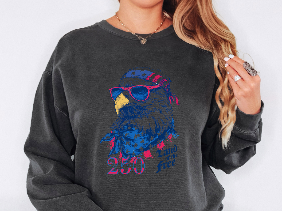Patriotic Eagle 250 Years Sweatshirt, Land of the Free Crewneck for Women, Vintage America Graphic Sweatshirt, Fourth of July Gift