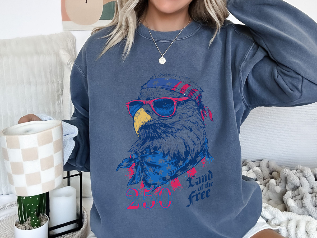 Patriotic Eagle 250 Years Sweatshirt, Land of the Free Crewneck for Women, Vintage America Graphic Sweatshirt, Fourth of July Gift