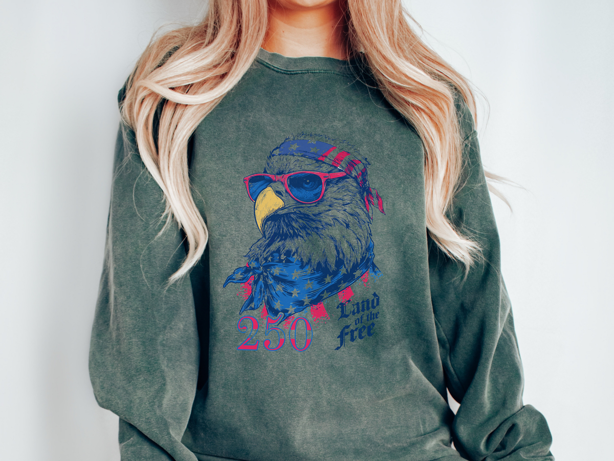 Patriotic Eagle 250 Years Sweatshirt, Land of the Free Crewneck for Women, Vintage America Graphic Sweatshirt, Fourth of July Gift