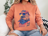 Patriotic Eagle 250 Years Sweatshirt, Land of the Free Crewneck for Women, Vintage America Graphic Sweatshirt, Fourth of July Gift