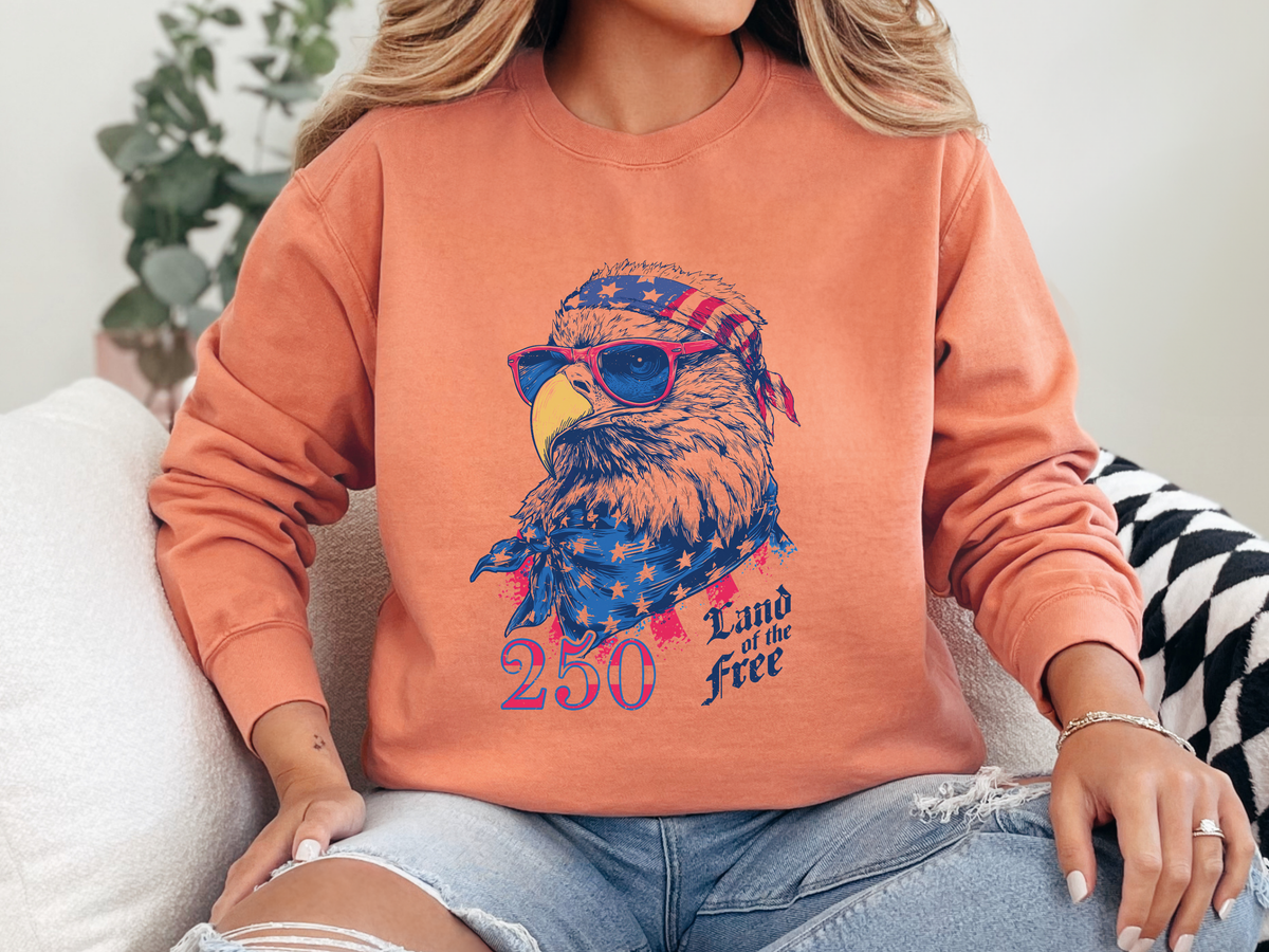 Patriotic Eagle 250 Years Sweatshirt, Land of the Free Crewneck for Women, Vintage America Graphic Sweatshirt, Fourth of July Gift