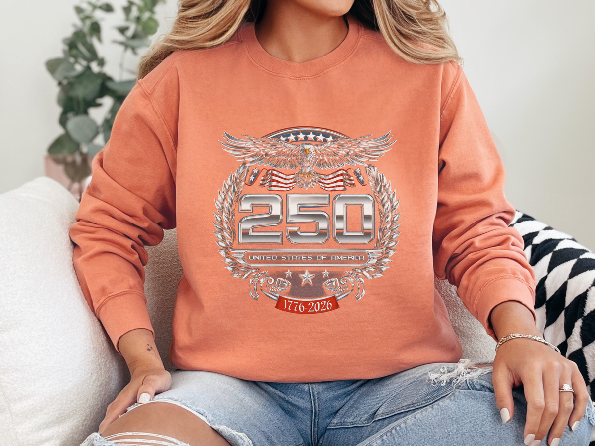 250 United States of America Sweatshirt, Patriotic USA Crewneck, America 250 Celebration Pullover, Fourth of July Gift