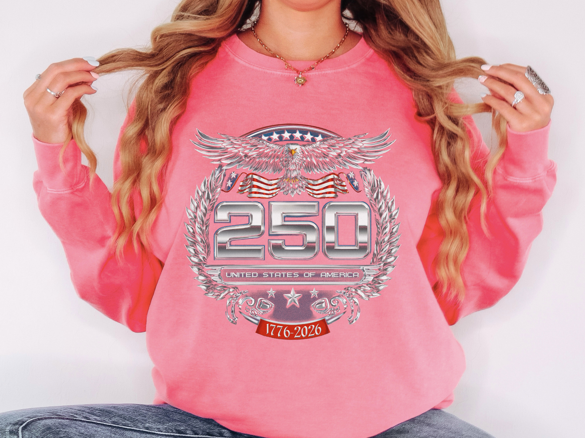 250 United States of America Sweatshirt, Patriotic USA Crewneck, America 250 Celebration Pullover, Fourth of July Gift