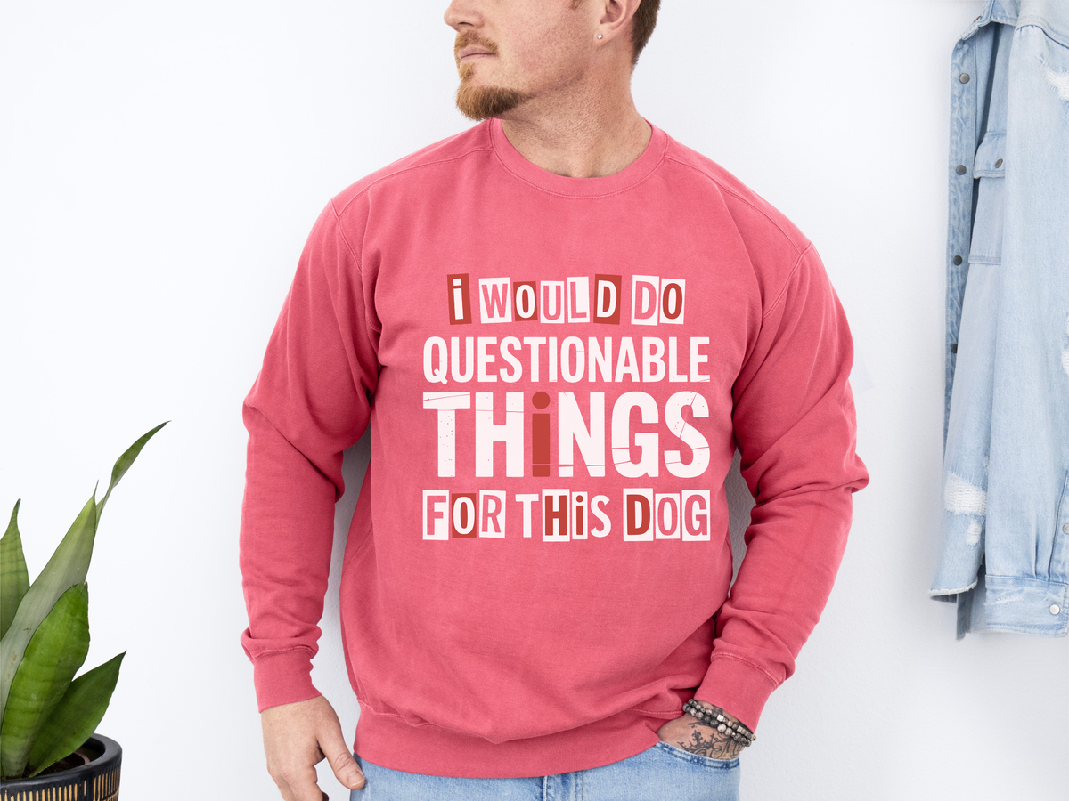 Funny Dog Lover Sweatshirt, I Would Do Questionable Things For This Dog Crewneck, Dog Dad Gift, Pet Lover Sweatshirt