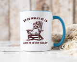 Funny Raccoon Mug, It Is What It Is And It Is Not Great Mug, Low Effort Raccoon Coffee Cup, Sarcastic Humor Gift