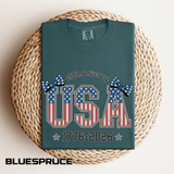 USA 250th Anniversary Comfort Colors Shirt, Patriotic Coquette Bow Tee, America 1776 2026 Graphic Shirt, Fourth of July Gift