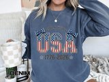 USA 250th Anniversary Comfort Colors Sweatshirt, Patriotic Bow Coquette Shirt, America 1776 2026 Sweatshirt, Fourth of July Gift