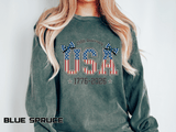 USA 250th Anniversary Comfort Colors Sweatshirt, Patriotic Bow Coquette Shirt, America 1776 2026 Sweatshirt, Fourth of July Gift