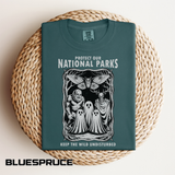 National Parks Gothic Comfort Colors Shirt, Protect Our National Parks Graphic Tee, Cryptid Nature Lover Shirt, Spooky Outdoor Apparel