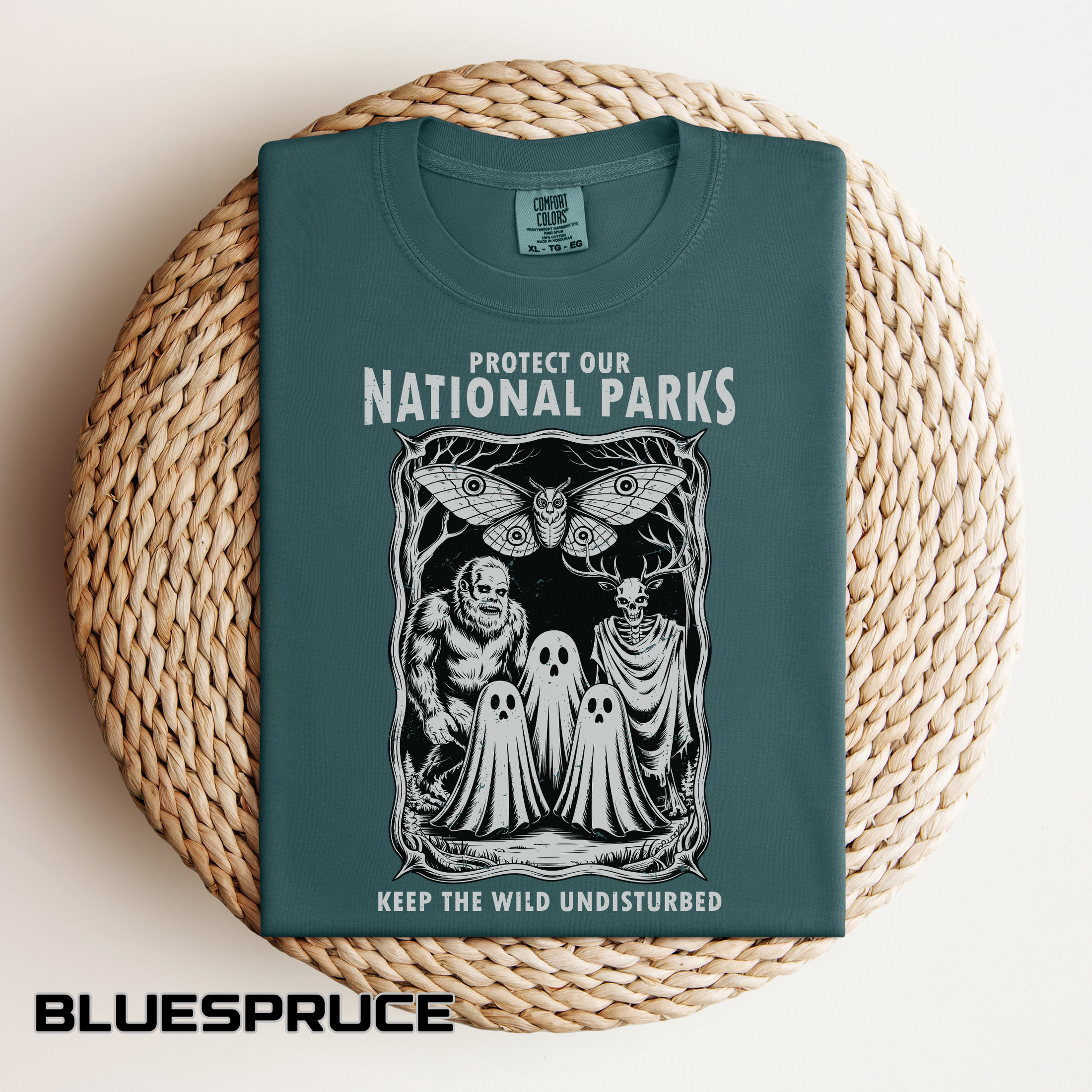 National Parks Gothic Comfort Colors Shirt, Protect Our National Parks Graphic Tee, Cryptid Nature Lover Shirt, Spooky Outdoor Apparel