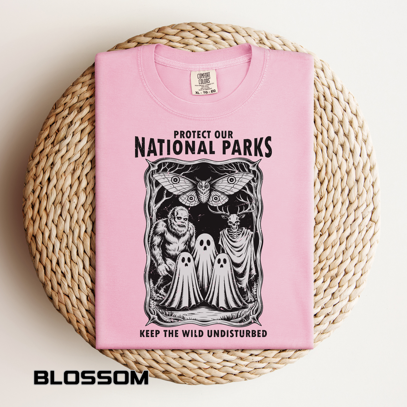 National Parks Gothic Comfort Colors Shirt, Protect Our National Parks Graphic Tee, Cryptid Nature Lover Shirt, Spooky Outdoor Apparel