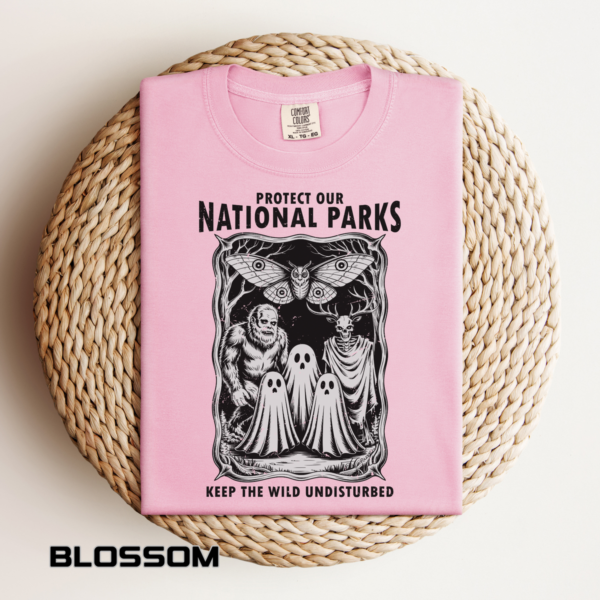 National Parks Gothic Comfort Colors Shirt, Protect Our National Parks Graphic Tee, Cryptid Nature Lover Shirt, Spooky Outdoor Apparel