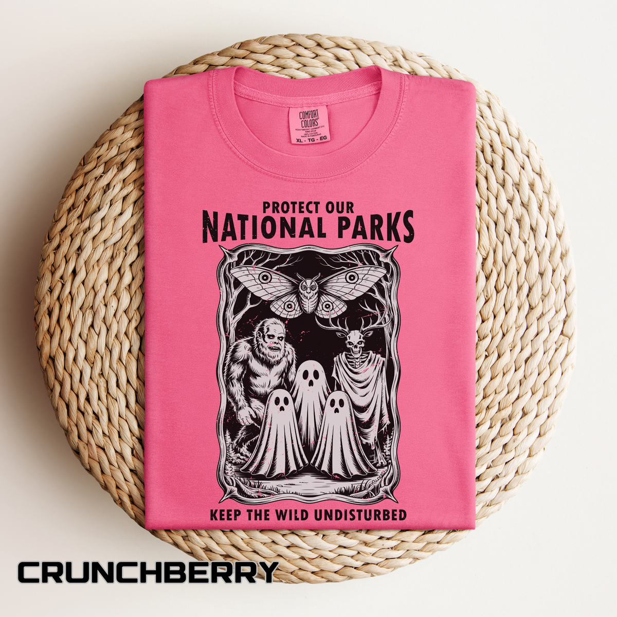 National Parks Gothic Comfort Colors Shirt, Protect Our National Parks Graphic Tee, Cryptid Nature Lover Shirt, Spooky Outdoor Apparel