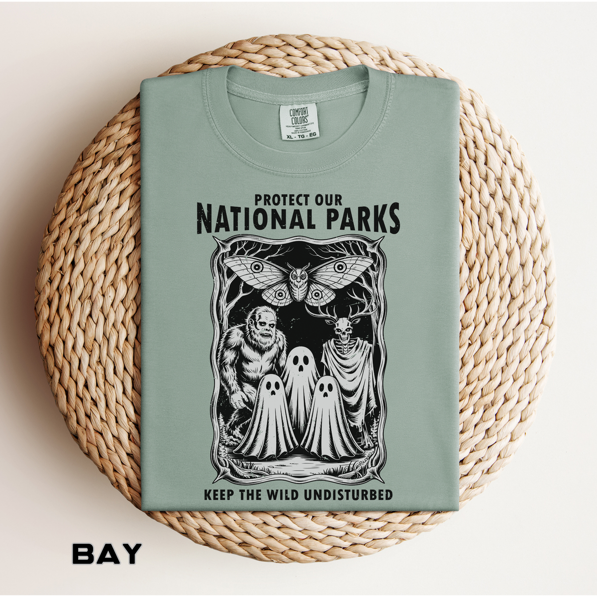 National Parks Gothic Comfort Colors Shirt, Protect Our National Parks Graphic Tee, Cryptid Nature Lover Shirt, Spooky Outdoor Apparel