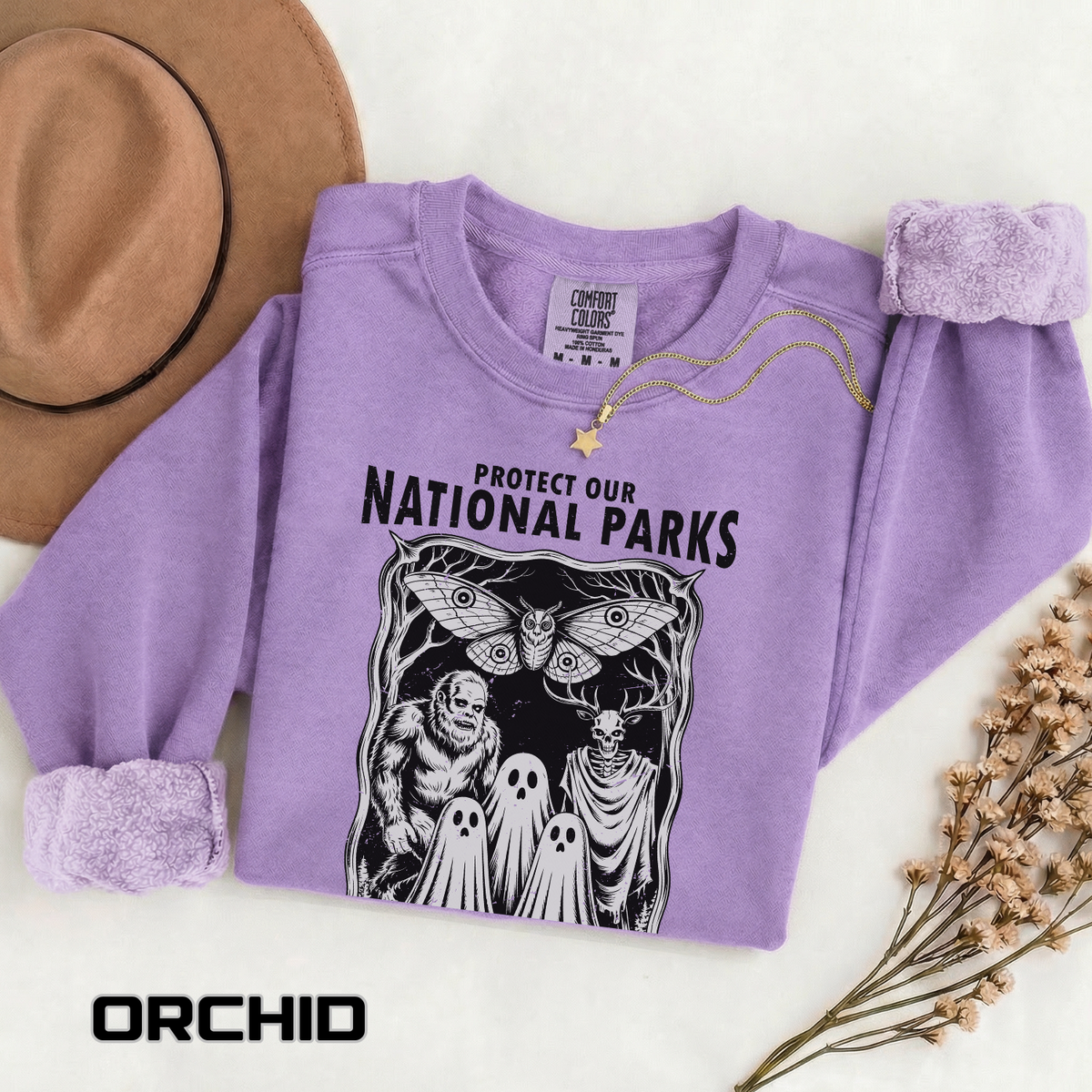 Protect Our National Parks Comfort Colors Sweatshirt, Gothic Nature Lover Crewneck, Cryptid Halloween Outdoor Adventure Gift