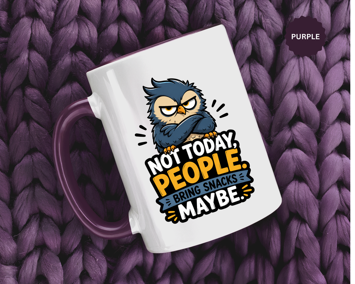 Not Today People Mug, Funny Owl Coffee Cup, Introvert Humor Gift for Coworker, Funny Snack Lover Present, Sarcastic Office Drinkware