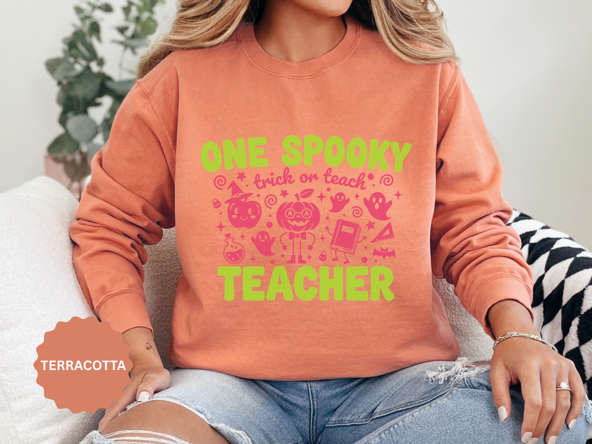 One Spooky Teacher Sweatshirt, Trick or Teach Halloween Crewneck, Cute Educator Gift, Spooky Classroom Shirt, Cute Fall School Outfit