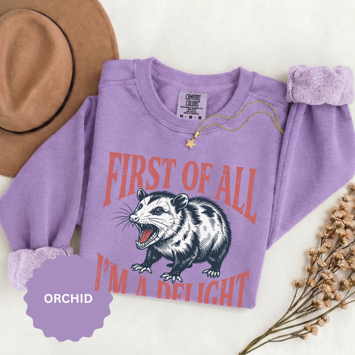 Funny Possum Sweatshirt, First of All I'm a Delight Crewneck, Sarcastic Animal Lover Gift, Vintage Opossum Graphic Cozy Pullover Top