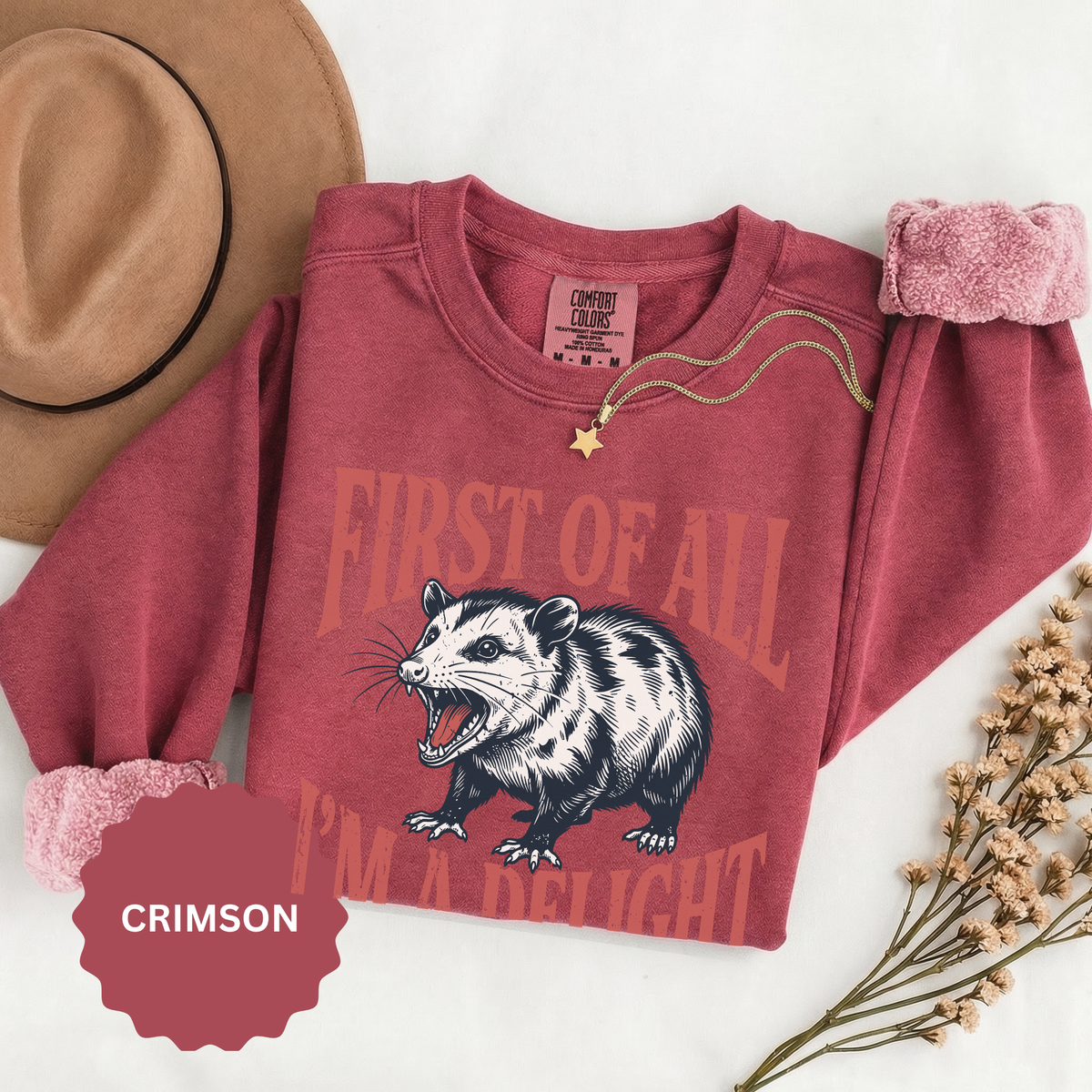 Funny Possum Sweatshirt, First of All I'm a Delight Crewneck, Sarcastic Animal Lover Gift, Vintage Opossum Graphic Cozy Pullover Top