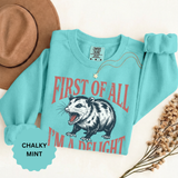 Funny Possum Sweatshirt, First of All I'm a Delight Crewneck, Sarcastic Animal Lover Gift, Vintage Opossum Graphic Cozy Pullover Top