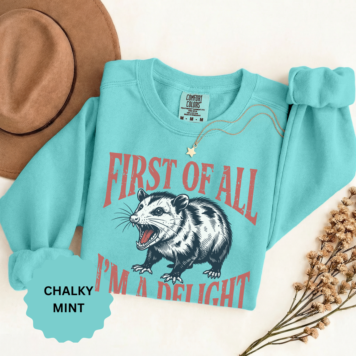 Funny Possum Sweatshirt, First of All I'm a Delight Crewneck, Sarcastic Animal Lover Gift, Vintage Opossum Graphic Cozy Pullover Top