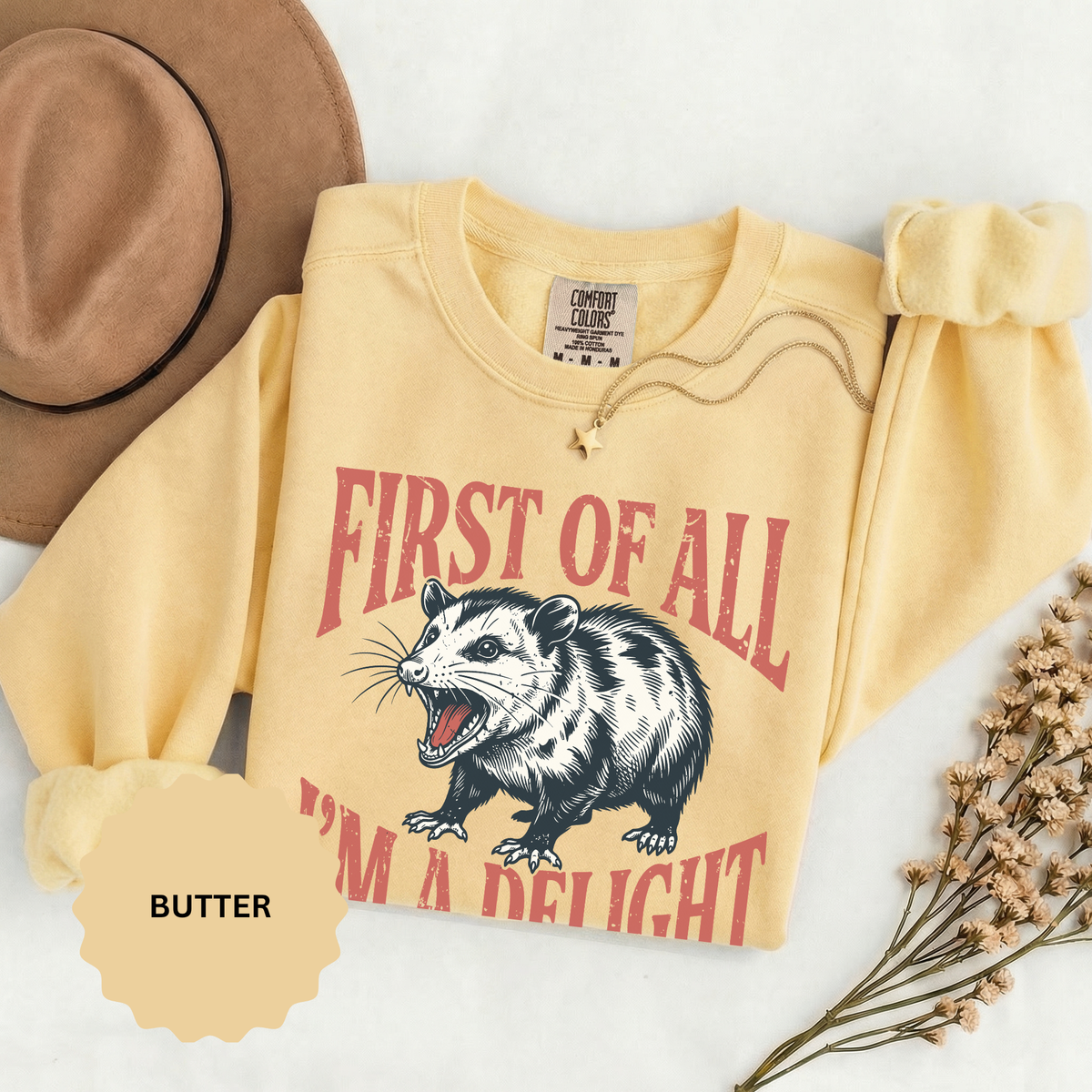 Funny Possum Sweatshirt, First of All I'm a Delight Crewneck, Sarcastic Animal Lover Gift, Vintage Opossum Graphic Cozy Pullover Top