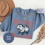 Funny Possum Sweatshirt, First of All I'm a Delight Crewneck, Sarcastic Animal Lover Gift, Vintage Opossum Graphic Cozy Pullover Top