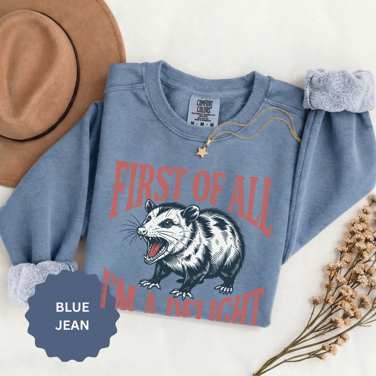 Funny Possum Sweatshirt, First of All I'm a Delight Crewneck, Sarcastic Animal Lover Gift, Vintage Opossum Graphic Cozy Pullover Top