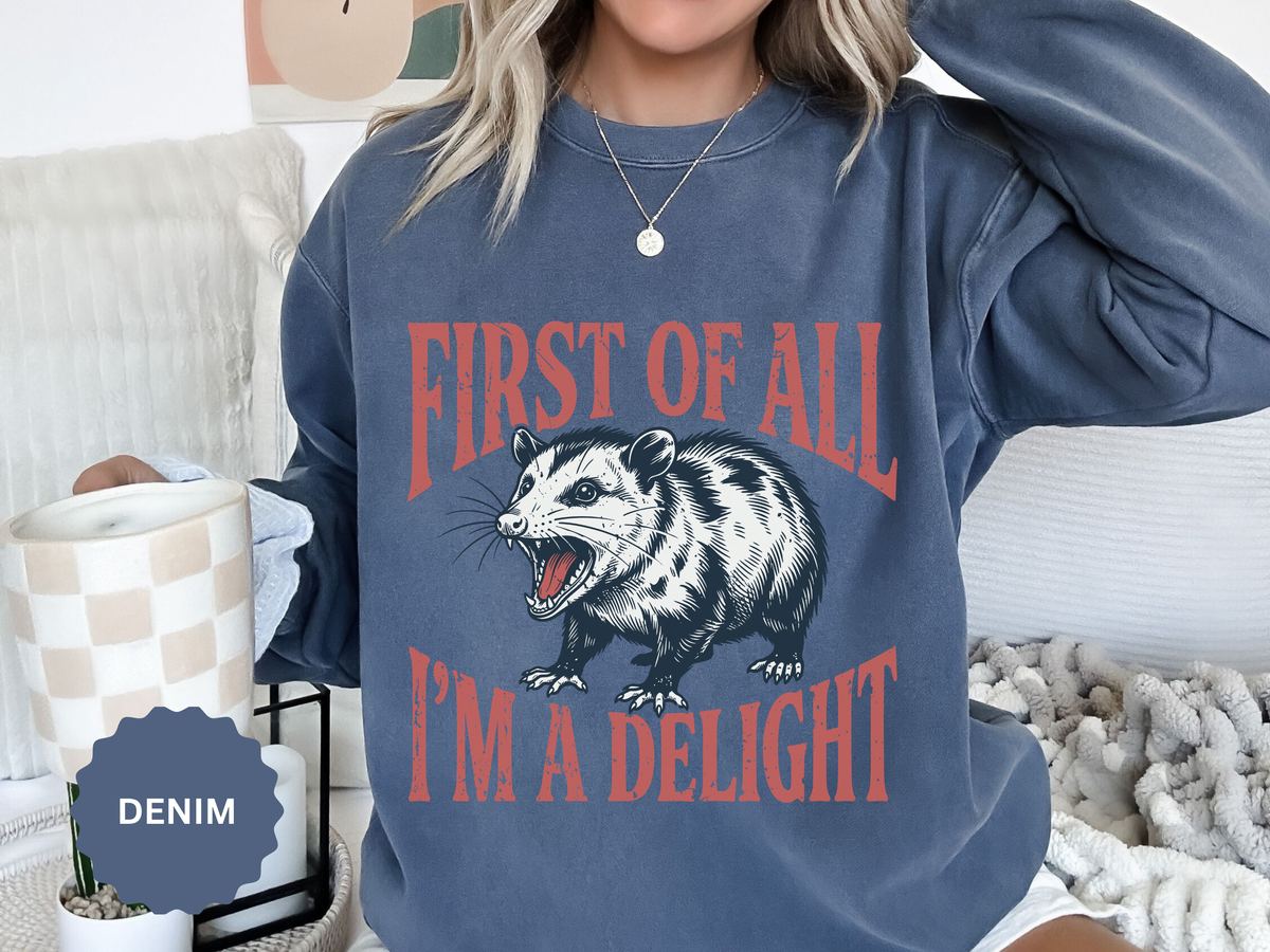 Funny Possum Sweatshirt, First of All I'm a Delight Crewneck, Sarcastic Animal Lover Gift, Vintage Opossum Graphic Cozy Pullover Top