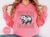 Funny Possum Sweatshirt, First of All I'm a Delight Crewneck, Sarcastic Animal Lover Gift, Vintage Opossum Graphic Cozy Pullover Top