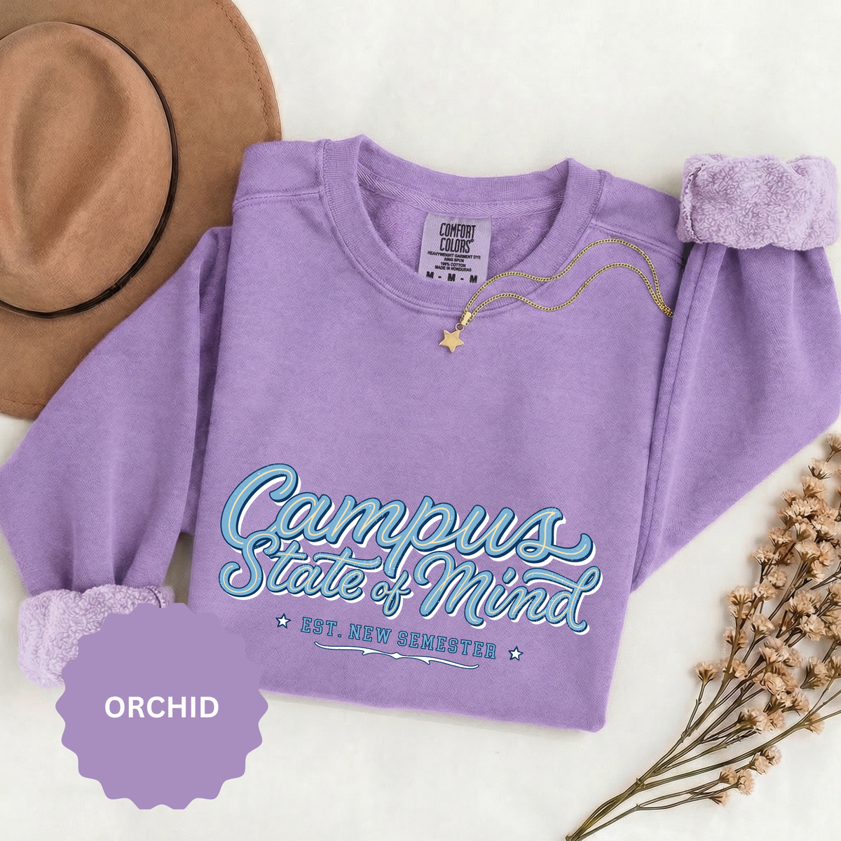 Campus State of Mind Sweatshirt, New Semester College Crewneck, University Student Gift, Back to School Pullover, Campus Outfit, Dorm Life
